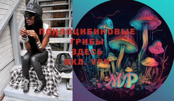 амф Апатиты