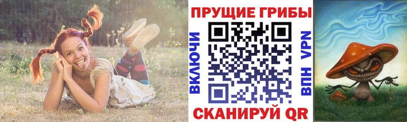Галлюциногенные грибы GOLDEN TEACHER  Балахна 