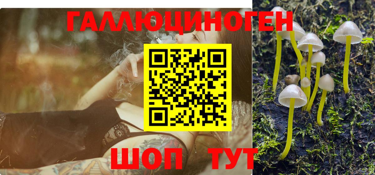 Псилоцибиновые грибы Psilocybe  как найти закладки  Балахна 